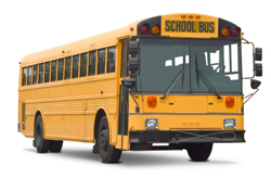 School bus glass and windshield products